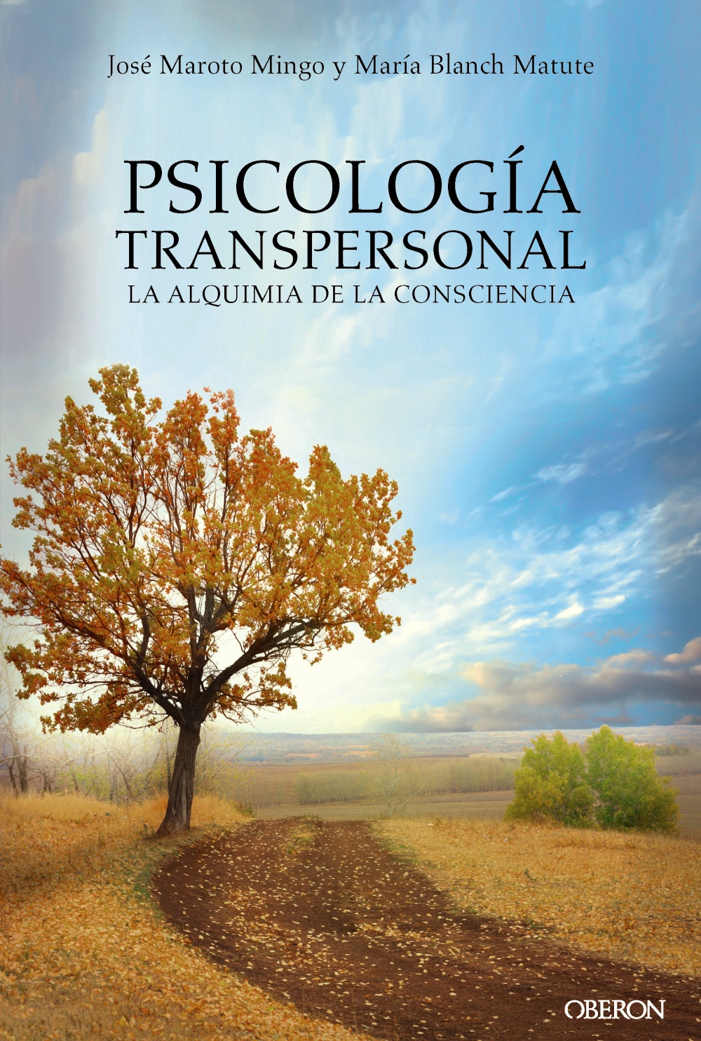 Psicología transpersonal "La alquimia de la consciencia"