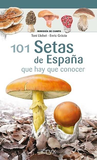 101 Setas de España "que hay que conocer"