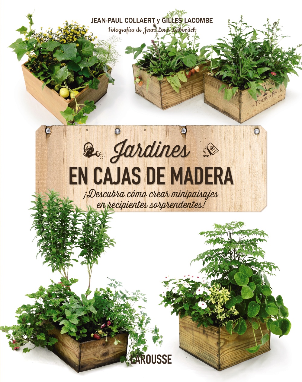 Jardines en cajas de madera "Descubra como crear minipaisajes en recipientes sorprendentes"