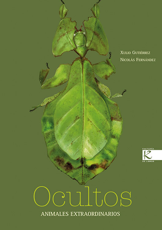 Ocultos " Animales extraordinarios"