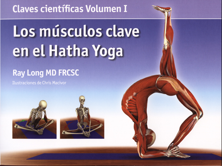 Músculos clave en el Hatha Yoga, Los "Claves científicas. Vol I"