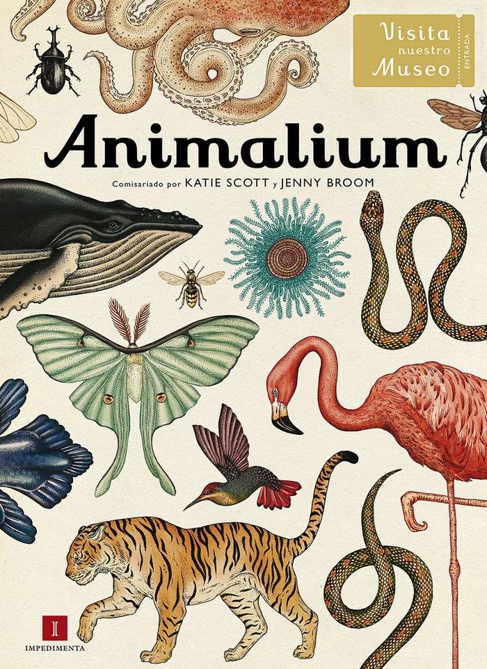 Visita nuestro museo. Animalium. 