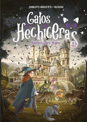 Gatos y hechiceras - VOL II "Amenaza sobre Avalon"