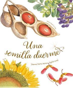 Semilla dueme, Una 