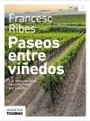 Paseos entre viñedos "Las mejores rutas de enoturismo por España"